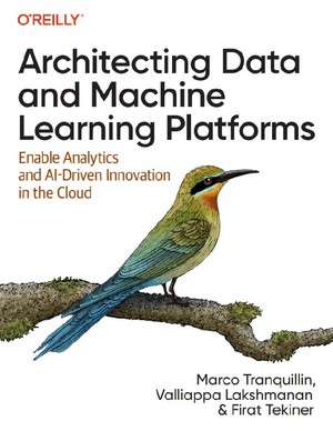 دانلود کتاب Architecting Data and Machine Learning Platforms Enable