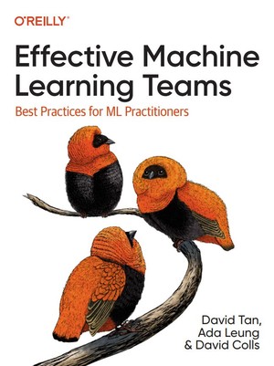 دانلود کتاب Effective Machine Learning Teams Best Practices for Ml David Tan