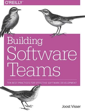 دانلود کتاب Building software teams ten best practices for effective