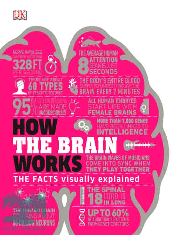 کتاب How the Brain Works: The Facts Visually Explained – DK Publishing (2020)