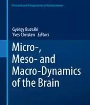 دانلود کتاب Micro-, Meso- and Macro-Dynamics of the Brain – meso