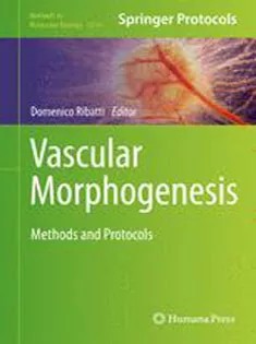 دانلود کتاب Vascular Morphogenesis: Methods and Protocols1