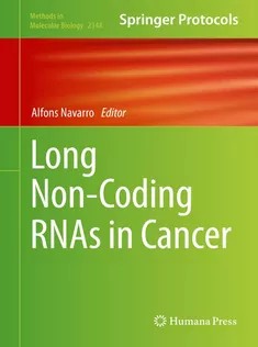 دانلود کتاب Long NonCoding RNAs in Cancer