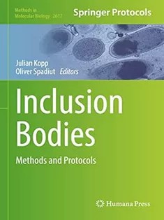 دانلود کتاب Inclusion Bodies