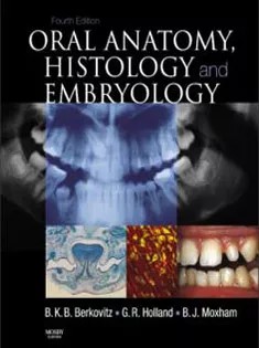 دانلود کتاب Oral Anatomy, Histology & Embryology