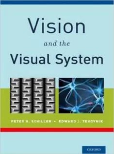 دانلود کتاب Vision and the Visual System