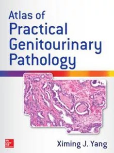 دانلود کتاب Atlas of Practical Genitourinary Pathology