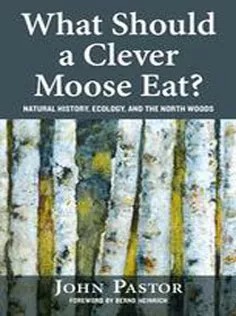 دانلود کتاب What Should A Clever Moose Eat?: Natural History, Ecology, and The North Woods