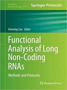 دانلود کتاب Functional Analysis of Long Non-Coding RNAs