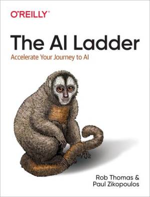 دانلود کتاب The AI Ladder: Accelerate Your Journey to AI