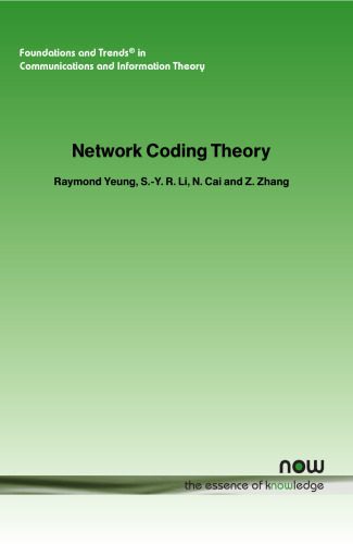 دانلود نسخه کامل کتاب Network Coding Theory