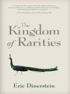 دانلود کتاب The Kingdom of Rarities