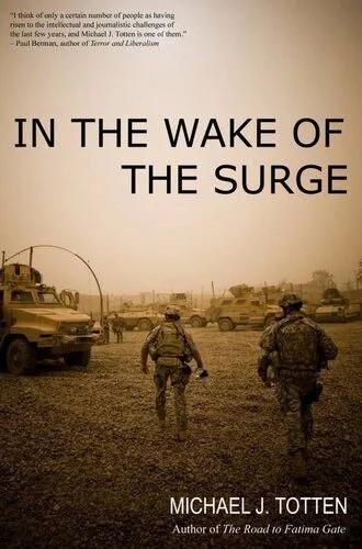 دانلود نسخه کامل کتاب In the Wake of the Surge