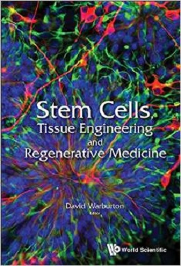 دانلود کتاب سلول های بنیادی، مهندسی بافت و پزشکی بازسازی Stem Cells, Tissue Engineering and Regenerative Medicine, 1ed