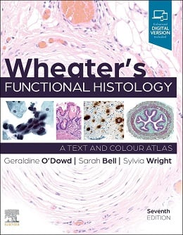 دانلود کتاب بافت شناسی عملکردی ویتر Wheater’s Functional Histology, 7ed