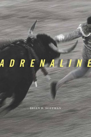 دانلود کتاب آدرنالین ۲۰۱۳ Adrenaline 2013