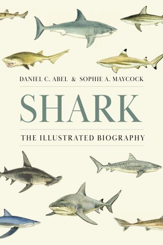 دانلود کتاب کوسه ۲۰۲۵ Shark 2025