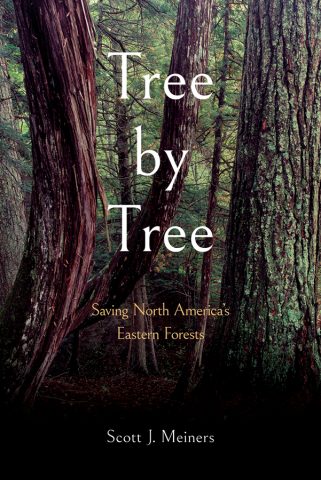 دانلود کتاب درخت به درخت ۲۰۲۳ Tree by Tree 2023