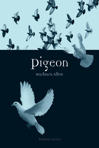 دانلود کتاب کبوتر ۲۰۰۹ Pigeon 2009
