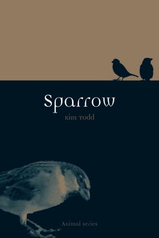 دانلود کتاب گنجشک ۲۰۱۳ Sparrow 2013