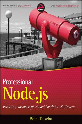 دانلود کتاب Node.js حرفه‌ای ۲۰۱۲ Professional Node.js 2012