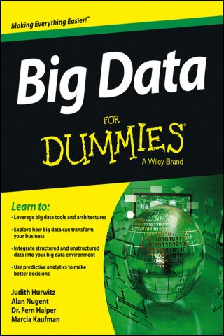 دانلود کتاب داده‌های بزرگ برای دامیز ۲۰۱۳ Big Data For Dummies 2013