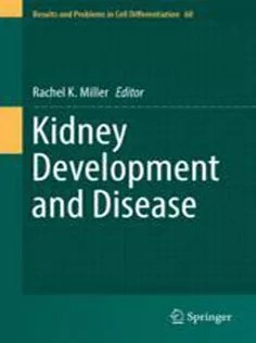 دانلود کتاب Kidney Development and Disease