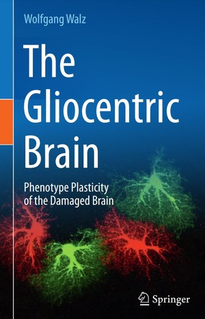 دانلود کتاب The Gliocentric Brain Phenotype Plasticity of the Damaged Brain