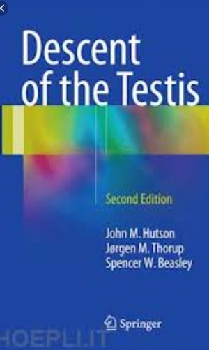 دانلود کتاب Hutson, Thorup, Beasley – Descent of the Testis