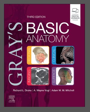 دانلود کتاب Gray’s Basic Anatomy 3rd Edition
