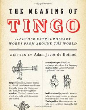 دانلود کتاب The Meaning of Tingo: and Other Extraordinary Words from Around the World