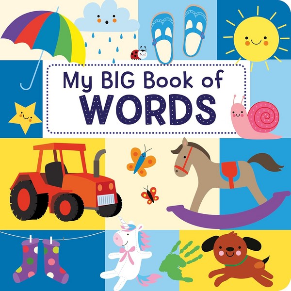 MY BIG BOOK OF WORDS