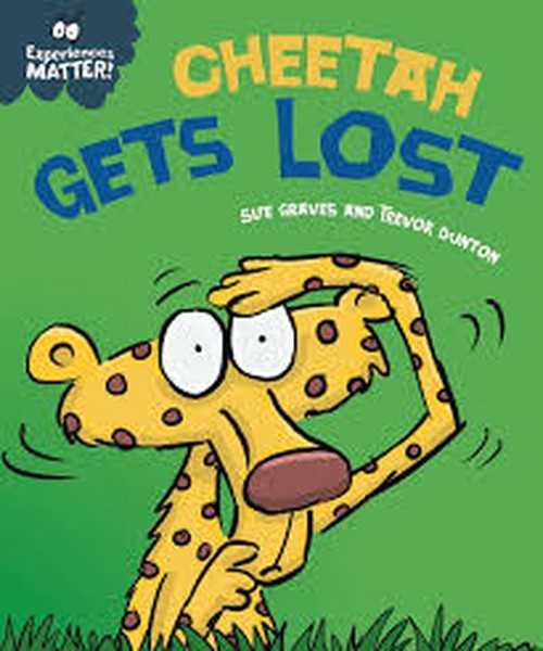 Experiences matters – Cheetah gets lost