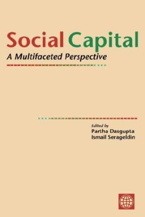 دانلود کتاب Social Capital: A Multifaceted Perspective