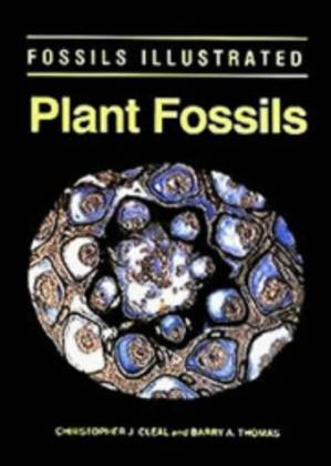 دانلود کتاب Plant Fossils: The History of Land Vegetation (Fossils Illustrated)