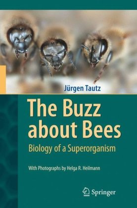 دانلود کتاب The Buzz about Bees: Biology of a Superorganism