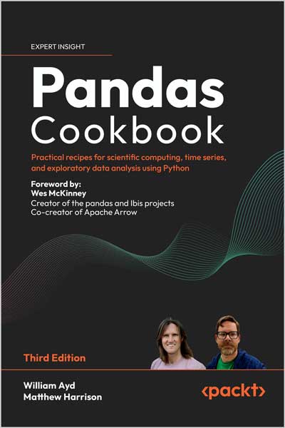 دانلود کتاب The Pandas Workshop
