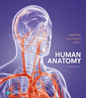 دانلود کتاب Human Anatomy