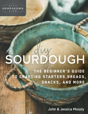 دانلود کتاب DIY Sourdough