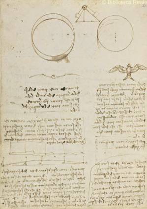 دانلود کتاب Codex on the Flight of Birds