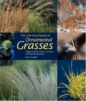دانلود کتاب The color encyclopedia of ornamental grasses: sedges, rushes, restios, cat-tails, and selected bamboos