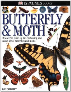 دانلود کتاب Eyewitness: Butterfly & Moth (Eyewitness Books)