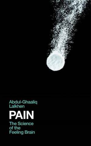 دانلود کتاب Pain: The Science of the Feeling Brain