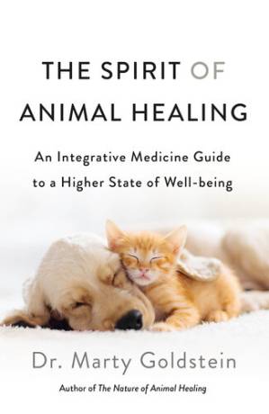 دانلود کتاب The Spirit of Animal Healing: An Integrative Medicine Guide to a Higher State of Well-being