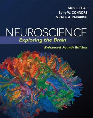 دانلود کتاب Neuroscience: Exploring the Brain, Enhanced Edition (Incomplete)