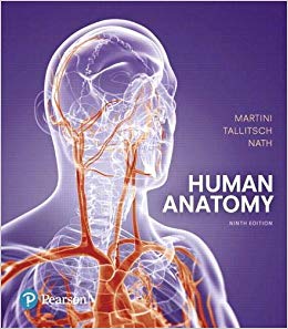 دانلود کتاب Human Anatomy, 9th ed, 2017