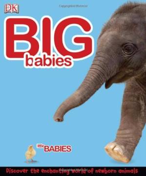 دانلود کتاب Big Babies, Little Babies