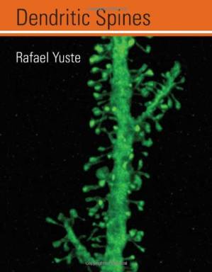 دانلود کتاب Dendritic Spines