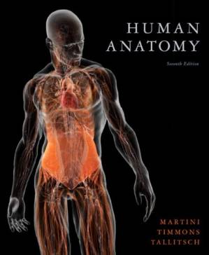 دانلود کتاب Human Anatomy, Seventh Edition