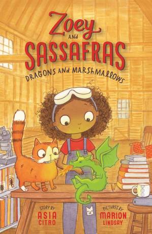 دانلود کتاب Dragons and Marshmallows